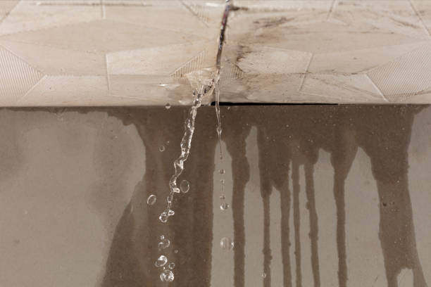 Professional Burst Pipe Cleanup technician working in Idalou, TX